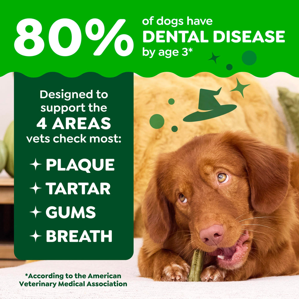 Greenies veterinarian-recommended badge close-up: trusted guidance for daily dental care.