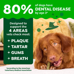 Greenies veterinarian-recommended badge close-up: trusted guidance for daily dental care.