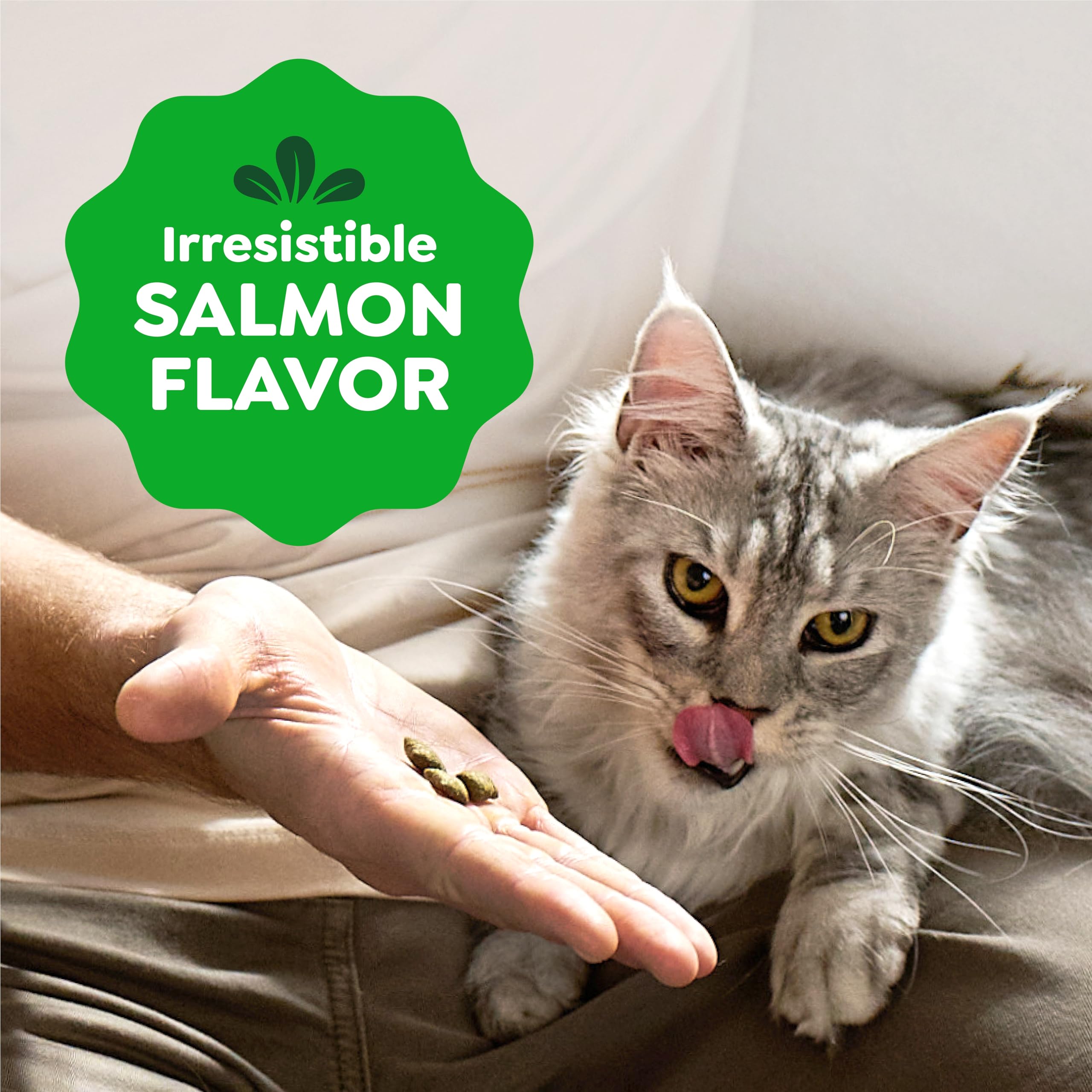 Greenies product with vitamins and minerals for balanced snacking
