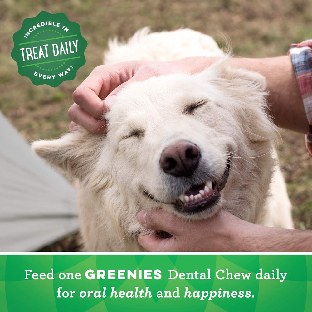 Greenies Teenie chews highlighting L-carnitine for weight-friendly care.
