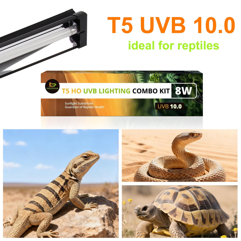 GREENPAW mesh-mount T5 UVB light enables flexible placement in compact terrariums.