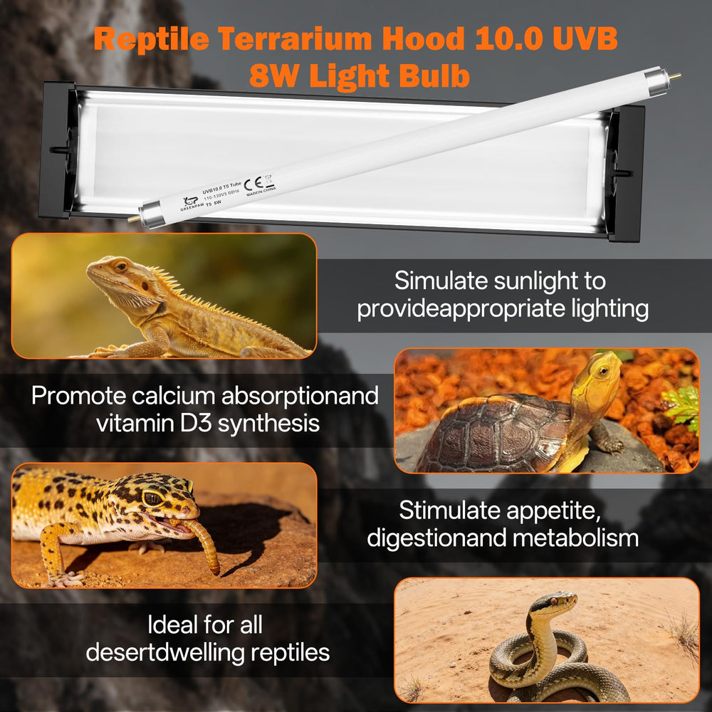 GREENPAW versatile multi-tank setup supports expanding reptile habitats