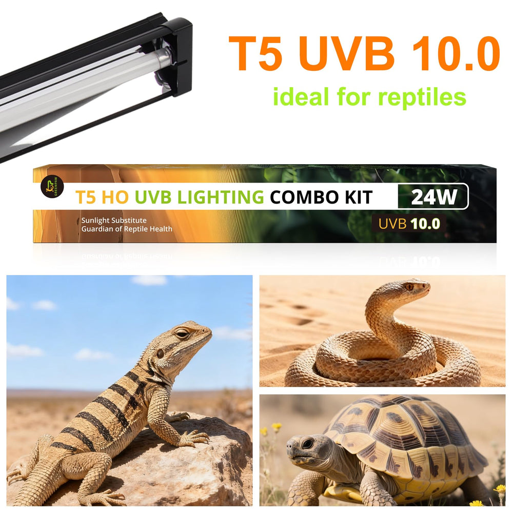 GREENPAW T5 UVB light energy-saving design reduces power use