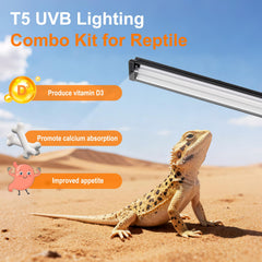 GREENPAW UVB light with curved reflector delivers brighter, more even illumination.