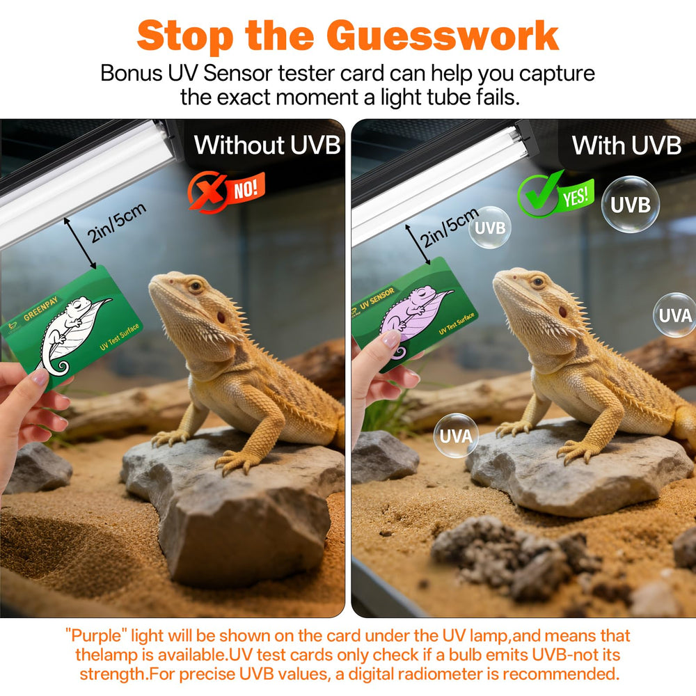 GREENPAW 12-inch UVB bar provides desert reptiles with steady exposure