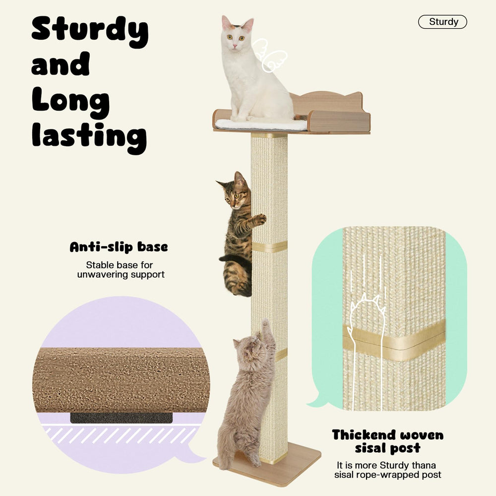 Cat window bed with plush cushion for cozy lounging and naps.