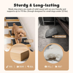 GreenPetopia wooden ramp assembly is quick and tool friendly for busy households.