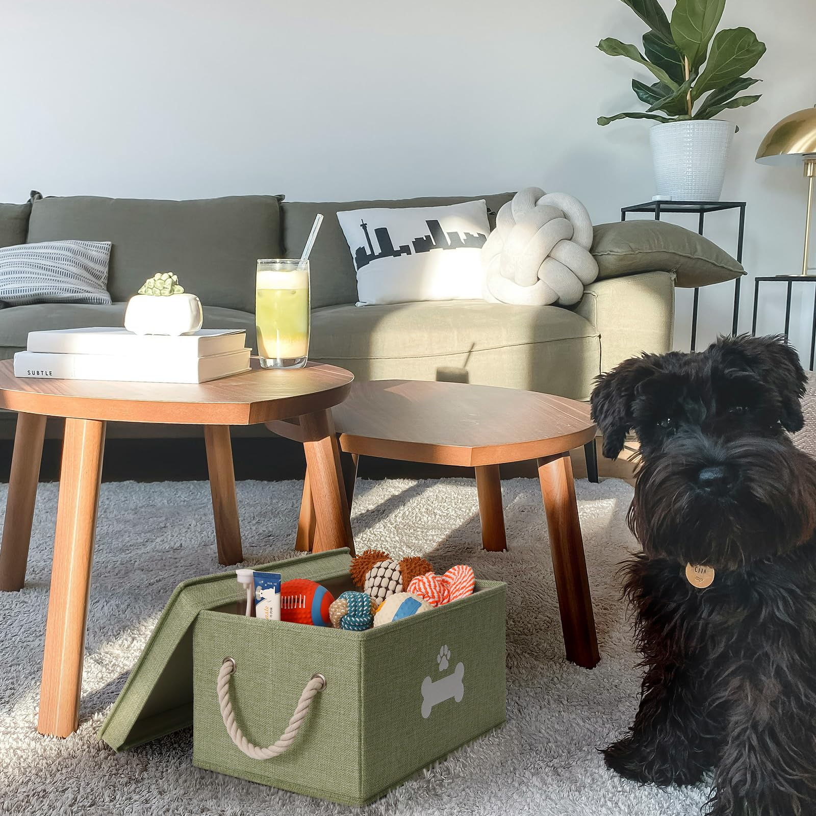 GreenPetopia dog toy bin with reinforced sides stays sturdy on the floor.