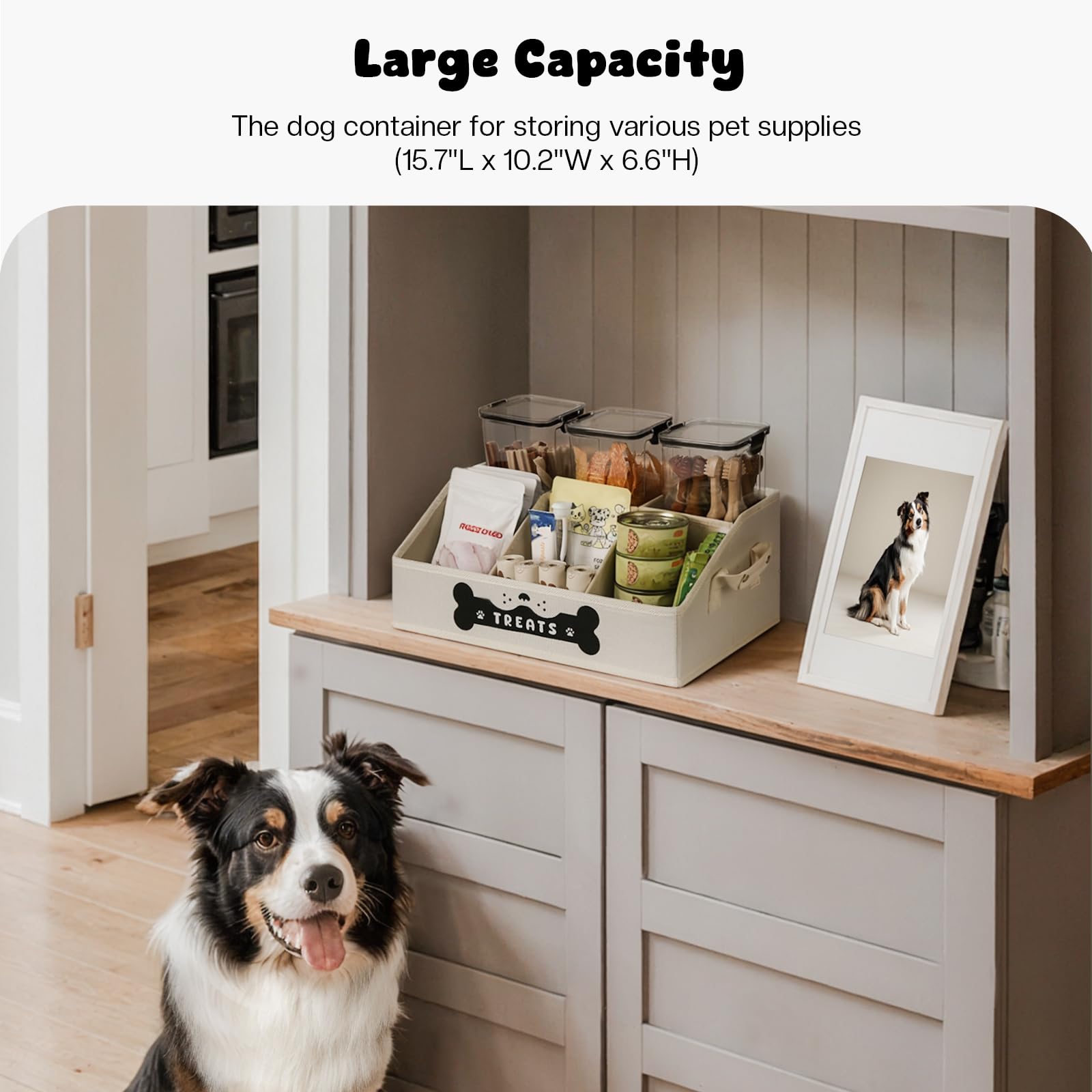 GreenPetopia dog treat container open view showing removable dividers