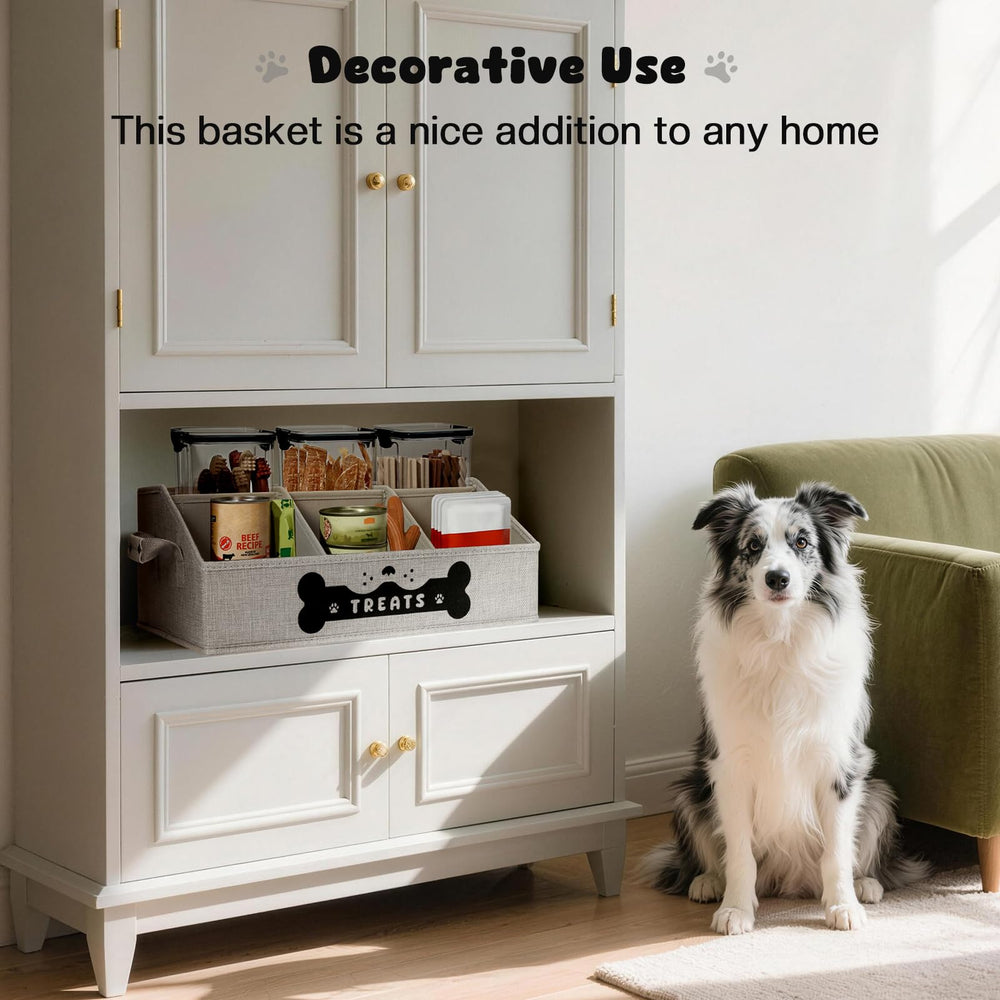 GreenPetopia dog treat container removable dividers for customized storage.