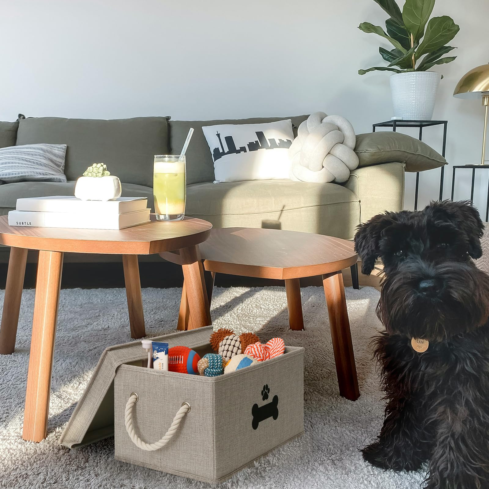 GreenPetopia gray dog toy basket complements modern home decor.