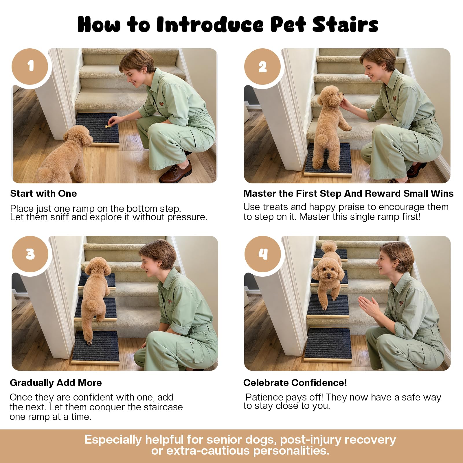 GreenPetopia training friendly steps encourage gradual confidence building for cautious pets.