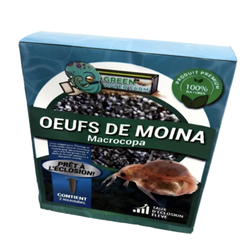 GreenWaterFarm Moina Macrocopa eggs packaging ready for hatchery use.