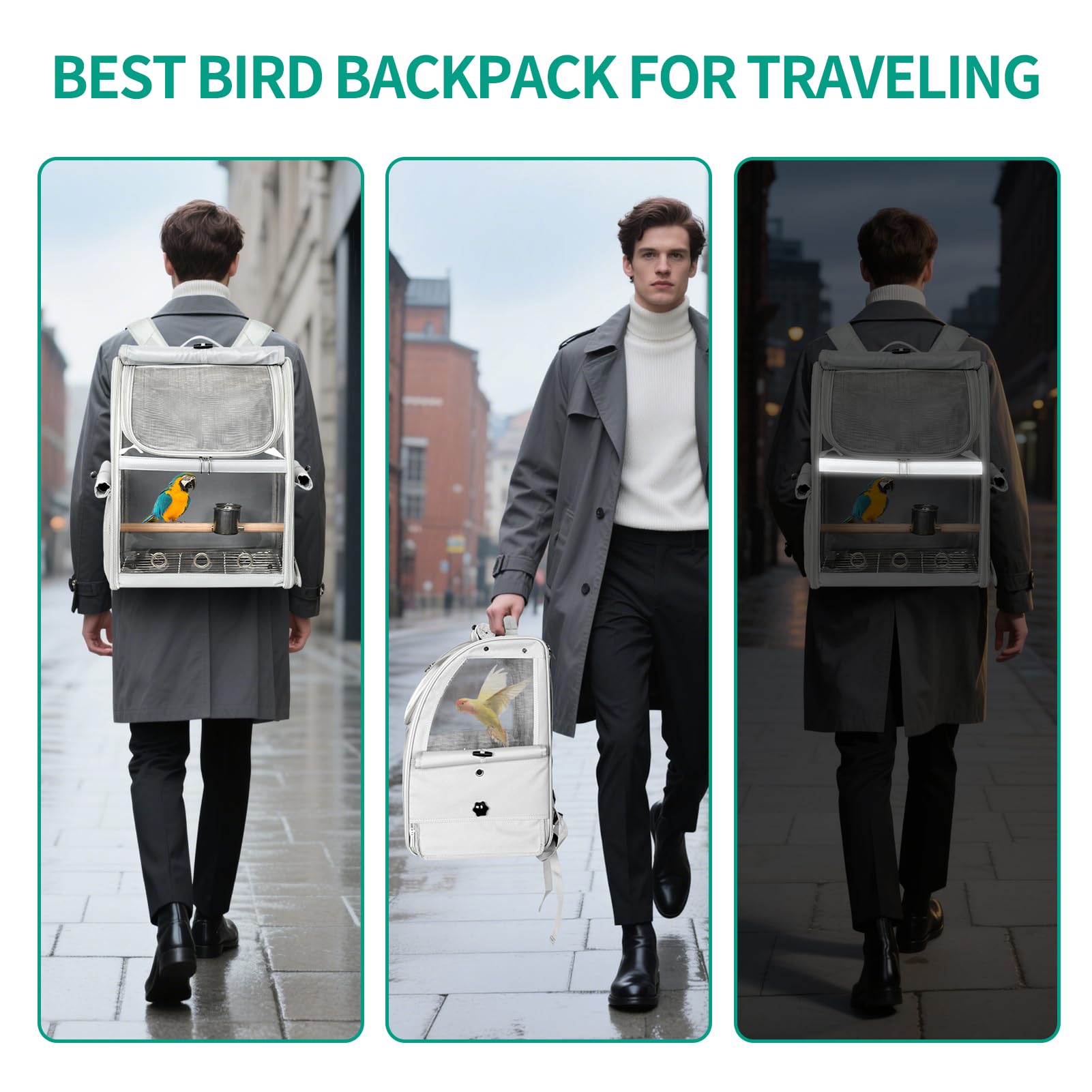 Gregce bird carrier includes feeder cups for feeding on the go