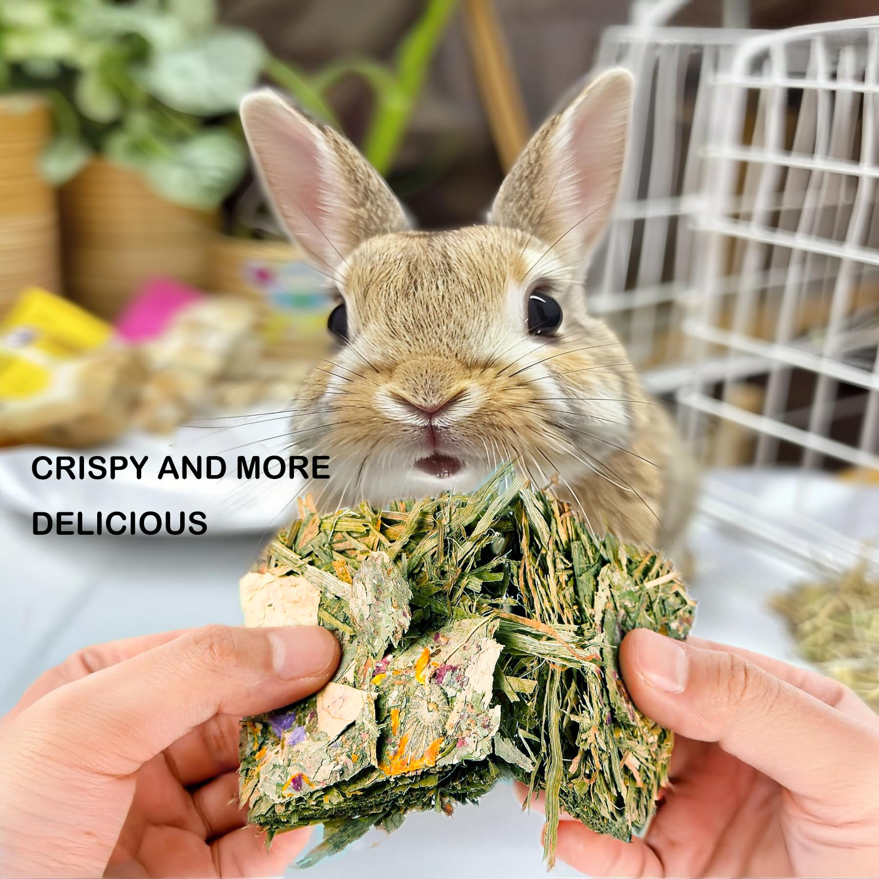 GREMBEB interactive snacks support longer playtime and enrichment