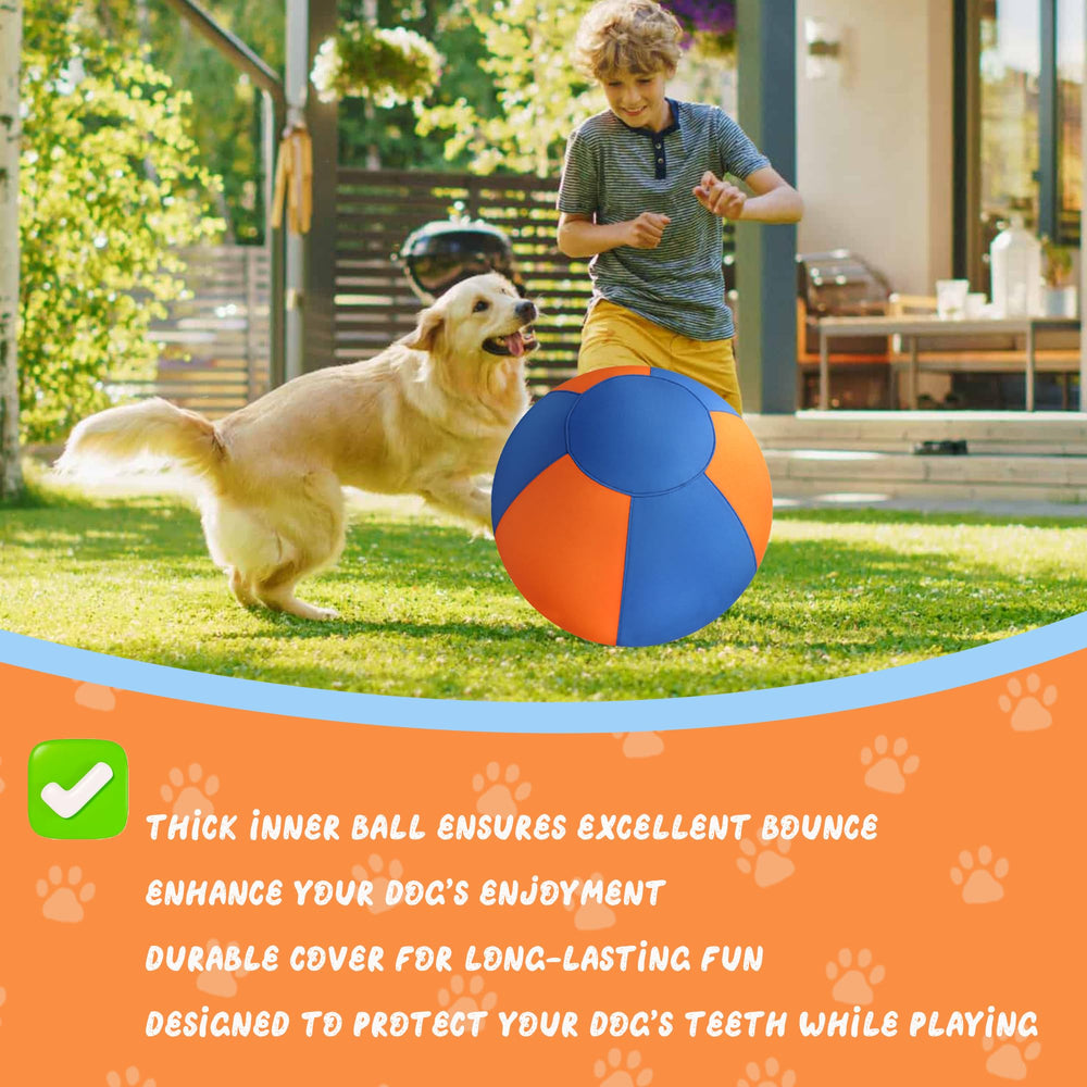 GRETMIX backyard setup shows high-energy training with a large ball.