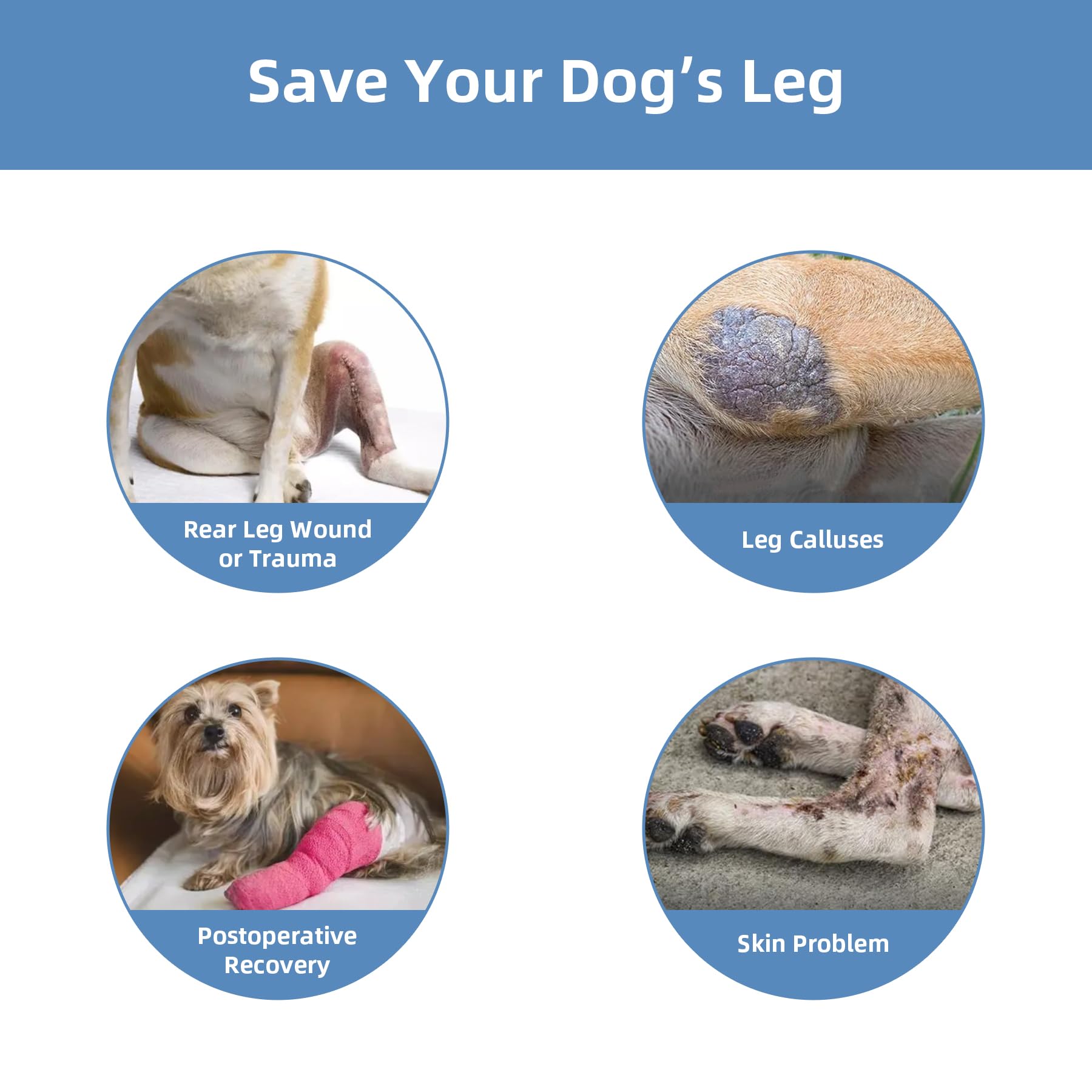 Grettytling leg covers provide versatile care for wounds, allergies, and pad injuries.