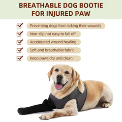 Grettytling leg sleeve provides full paw protection against licking and chewing.