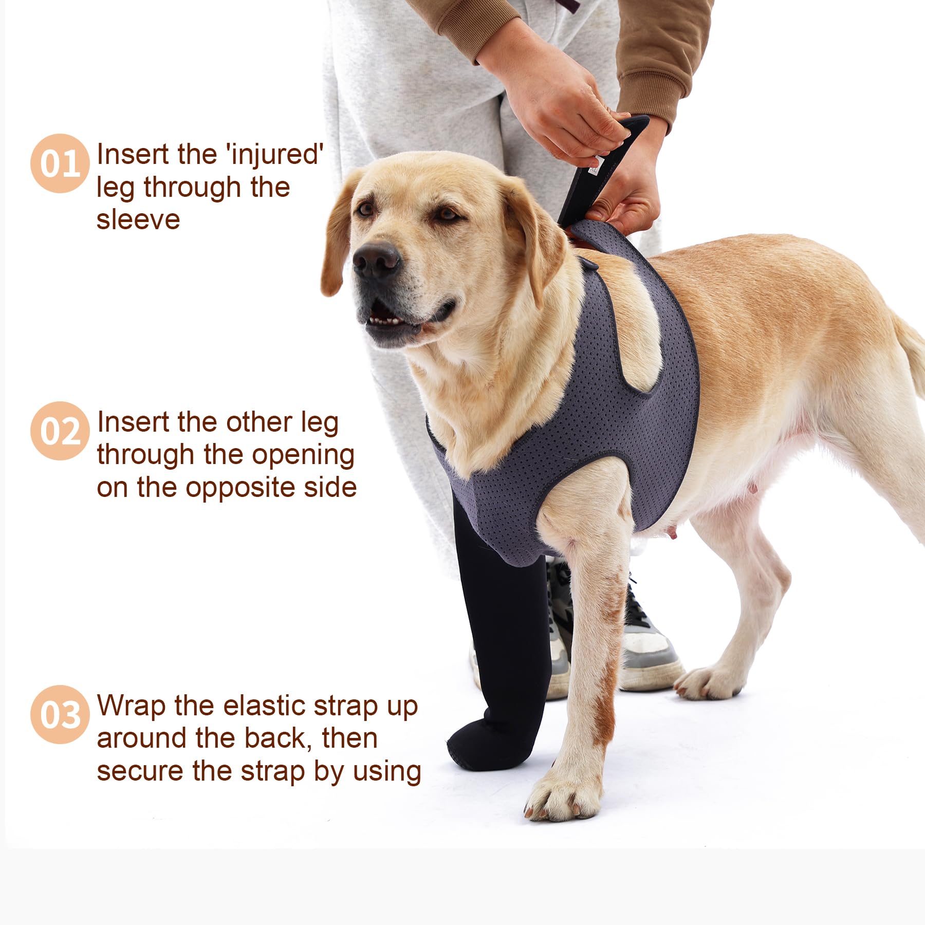 Grettytling dog sock set easy to wear and machine washable.