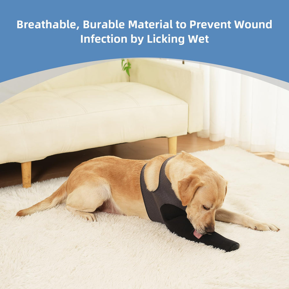 Grettytling paw sleeve shields healing paw while allowing natural movement.