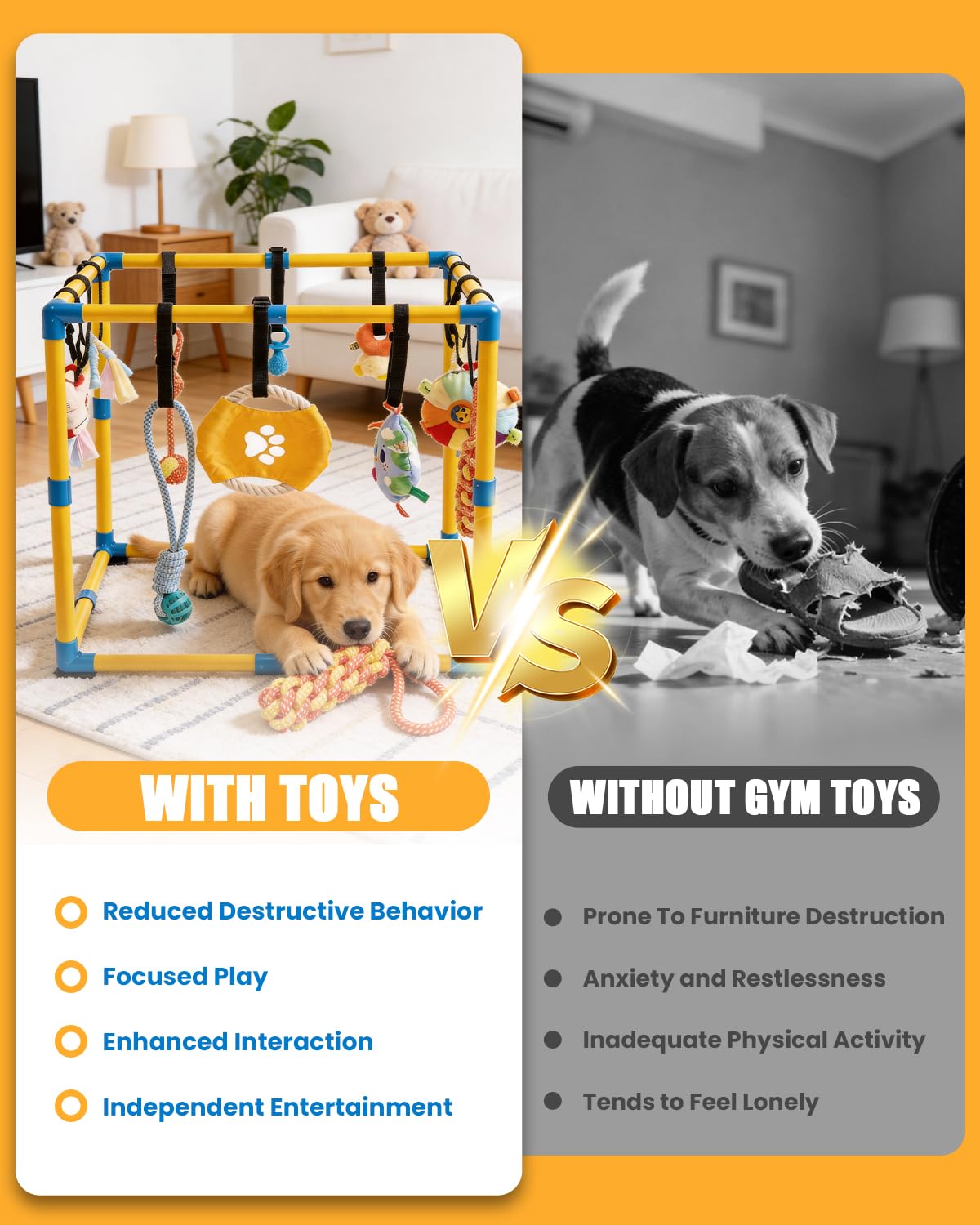 Grevigily dog interaction encourages learning through varied senses.