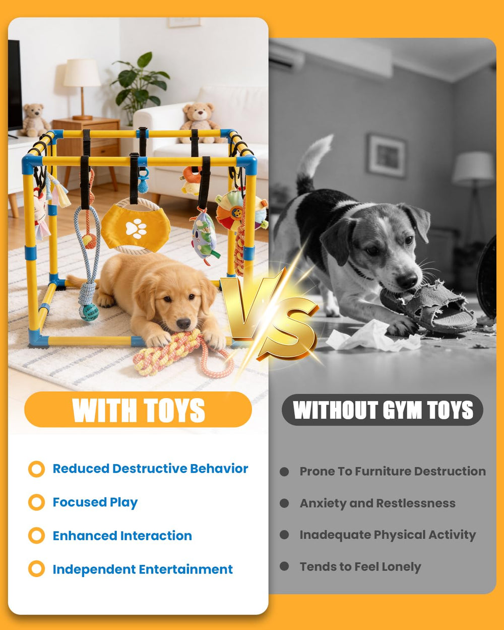 Grevigily dog interaction encourages learning through varied senses.