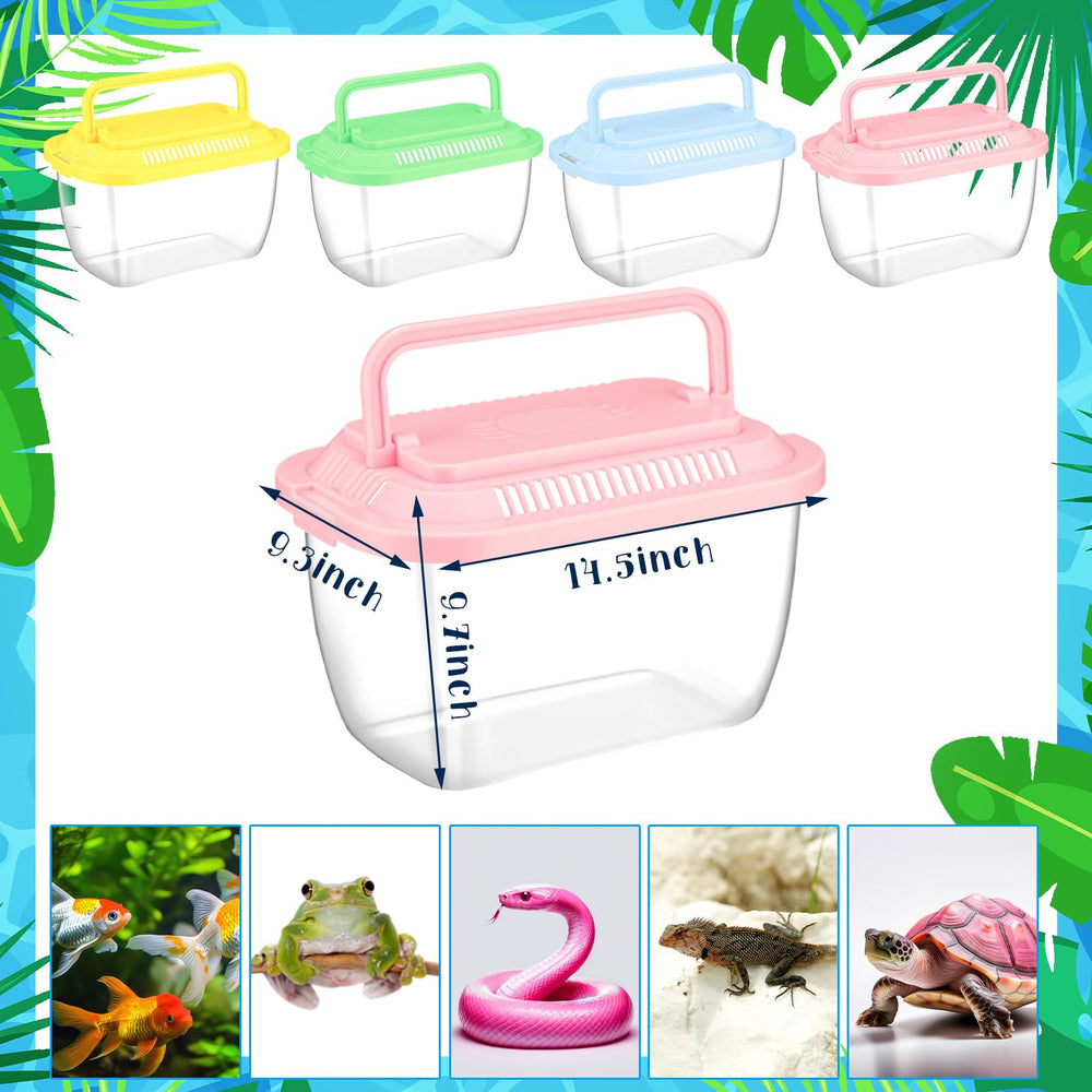 Grinsvalley bright color bowls support outdoor learning and group activities