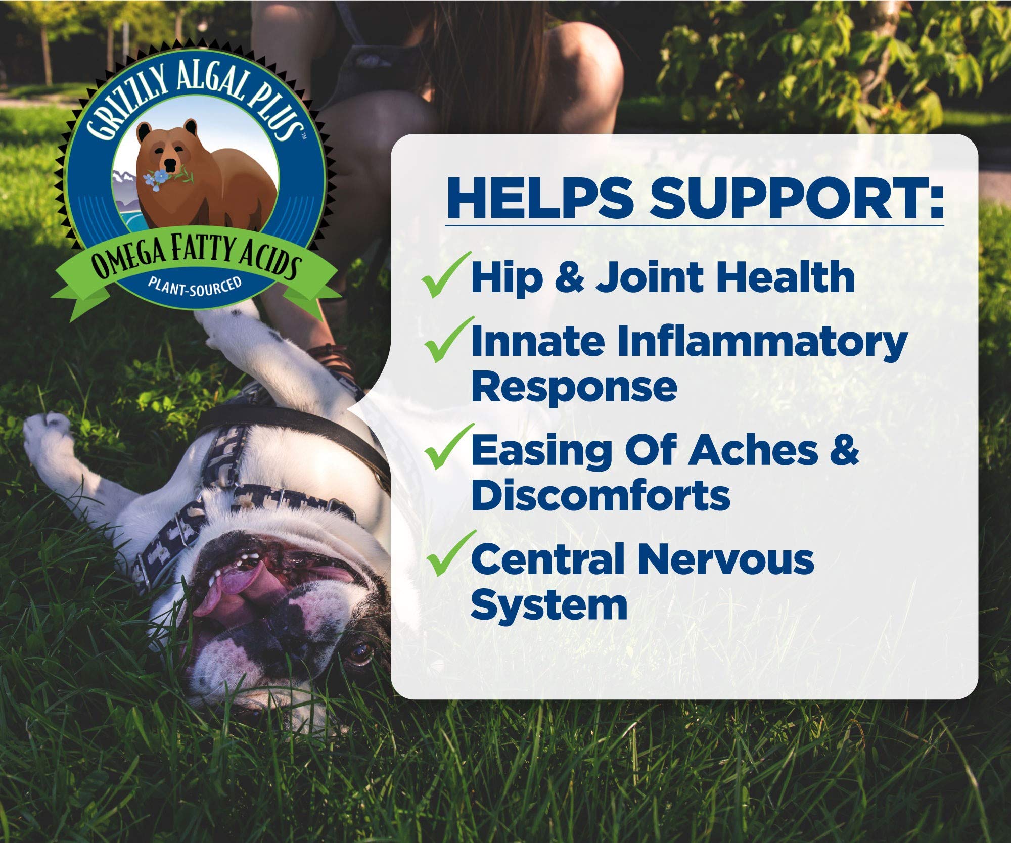 Grizzly Algal Plus no fish smell emphasis for odor-free supplement