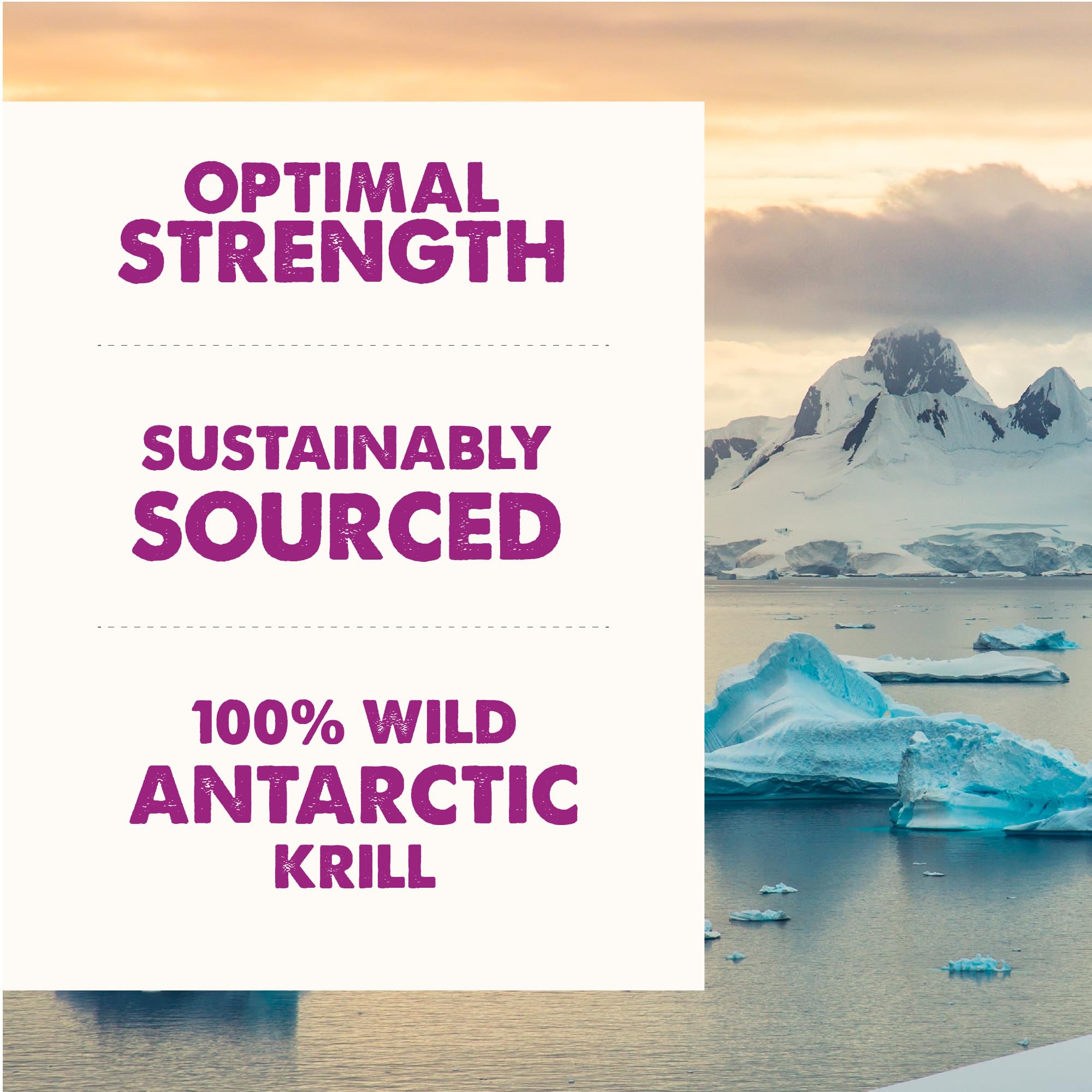 GRIZZLY Krill Oil highlighting astaxanthin-rich content