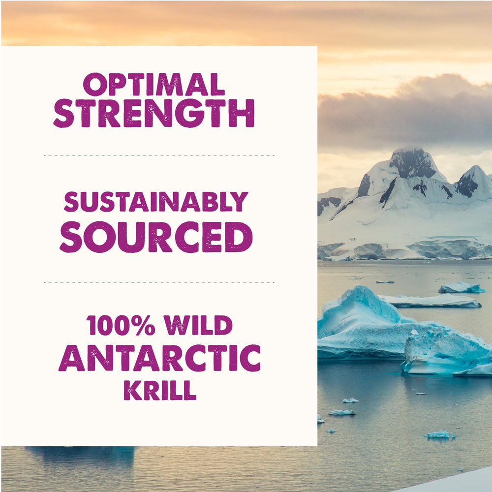 GRIZZLY Krill Oil highlighting astaxanthin-rich content