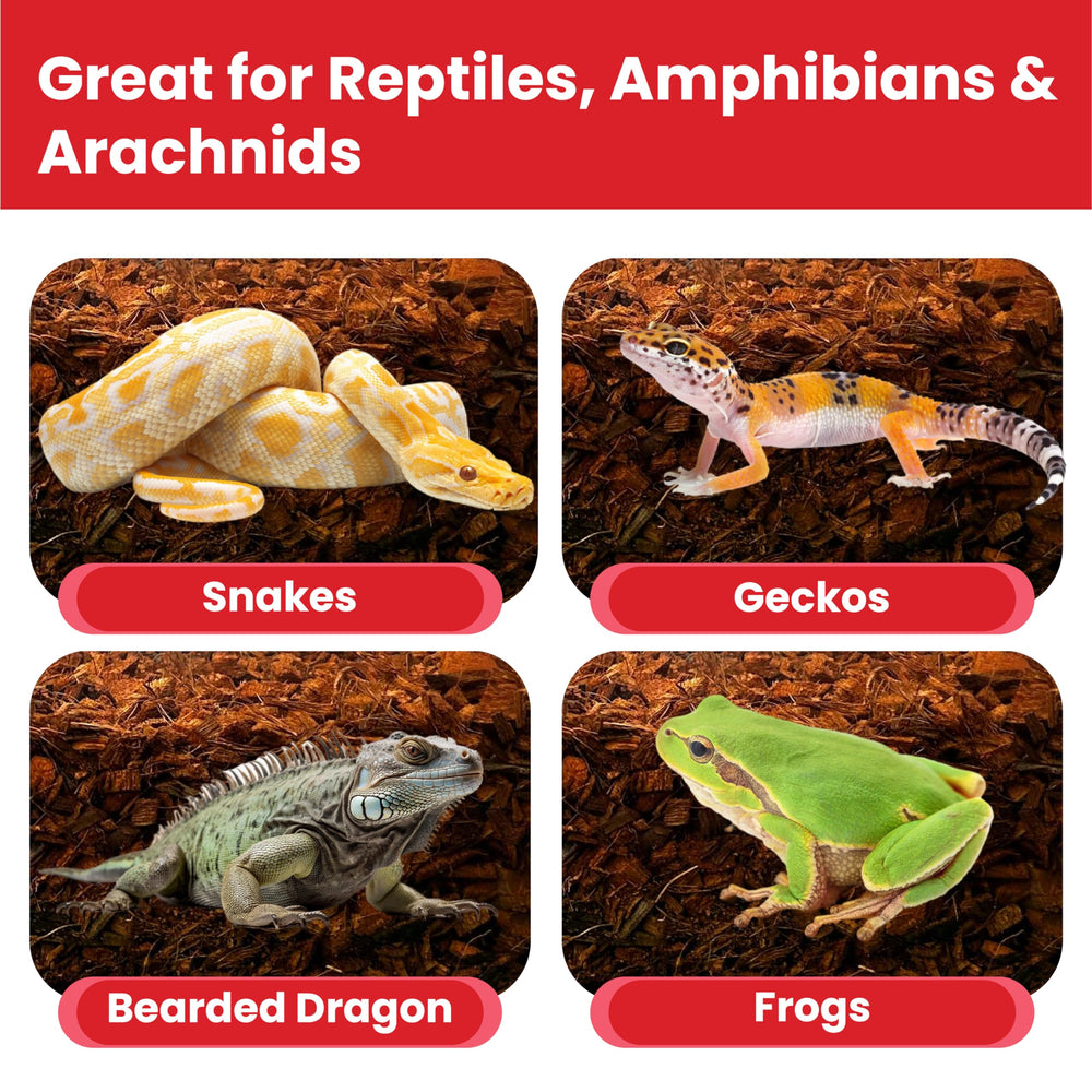 Gro-Med ReptiCare 12-quarts bag delivers ready-to-use bedding.