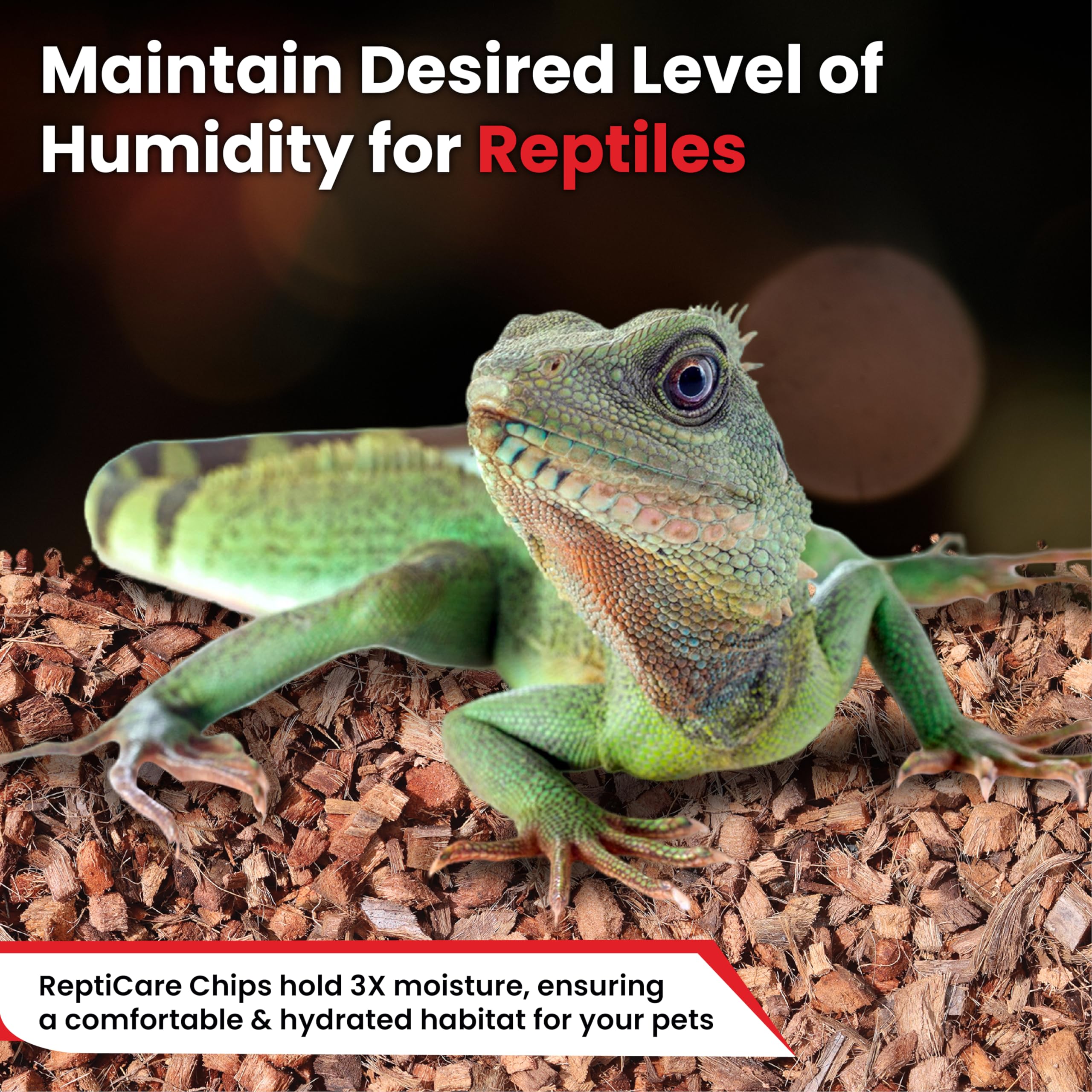 Gro-Med ReptiCare chips are easy to clean after use in enclosures.
