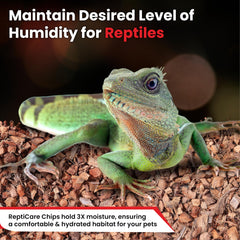 Gro-Med ReptiCare chips are easy to clean after use in enclosures.