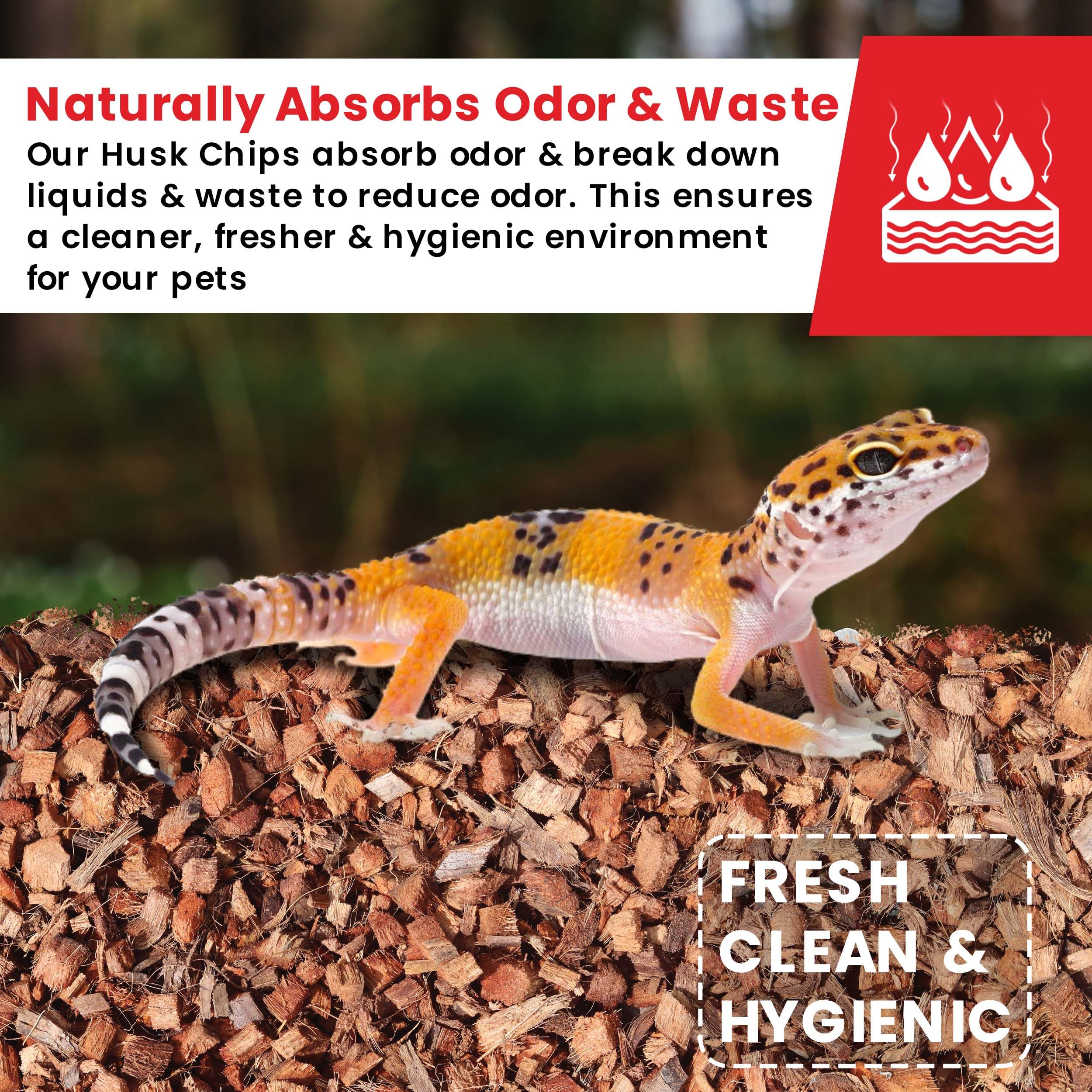 Gro-Med ReptiCare egg-nesting chips create secure nesting for egg-layers.