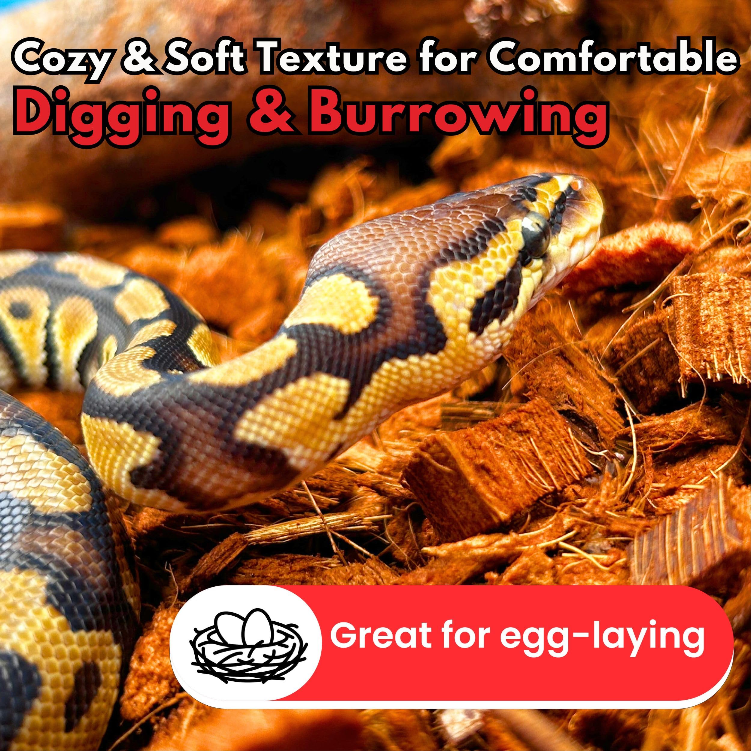 Gro-Med ReptiCare moisture-retention substrate maintains humidity.