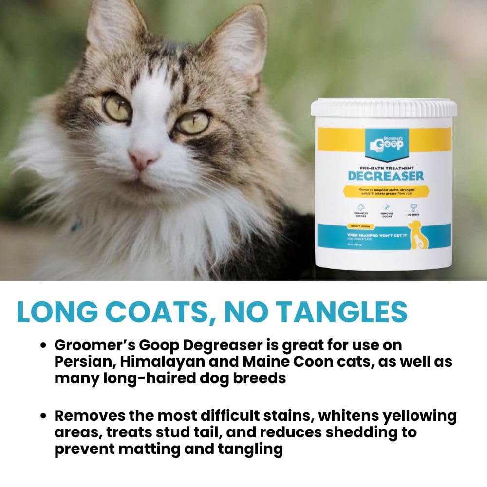 Groomer's GOOP grooming-studio-scene highlights pro-grade degreaser for tough pet coats.