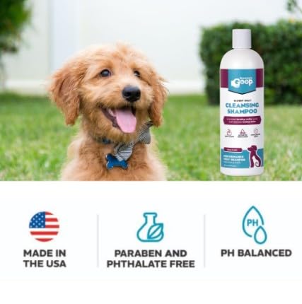 Groomer's GOOP glossy coat cleansing shine result reveals enhanced coat luster.