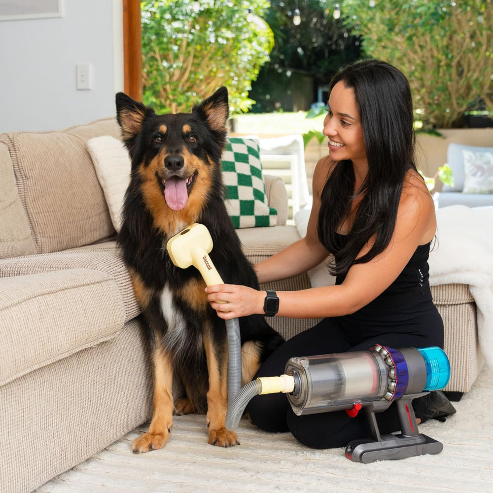 Extension hose keeps noise away from the pet during grooming.