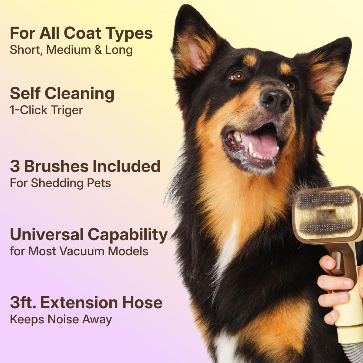 Self-cleaning deshedding brush captures fur directly into the vacuum.