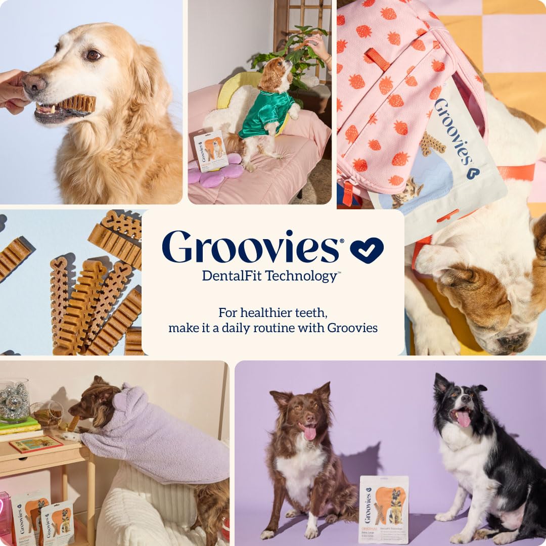 Lifestyle shot of Groovies chew time for dogs