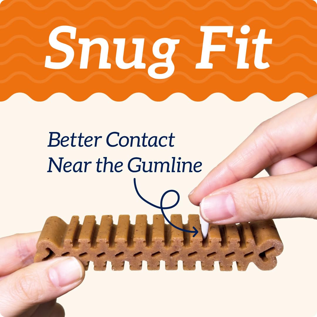 Groovies flexible chew bending demonstrates balanced firmness for comfortable chewing.