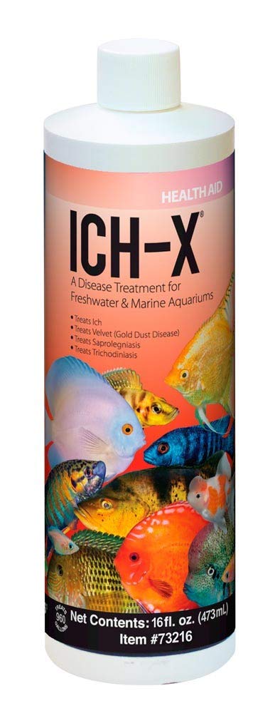 GROTAUS ICH-X ICH & FUNGAL TREATMENT bottle for aquariums helps control ich and fungal infections.