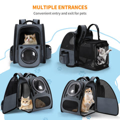 Groxkox padded back straps provide comfort during long hikes with pets