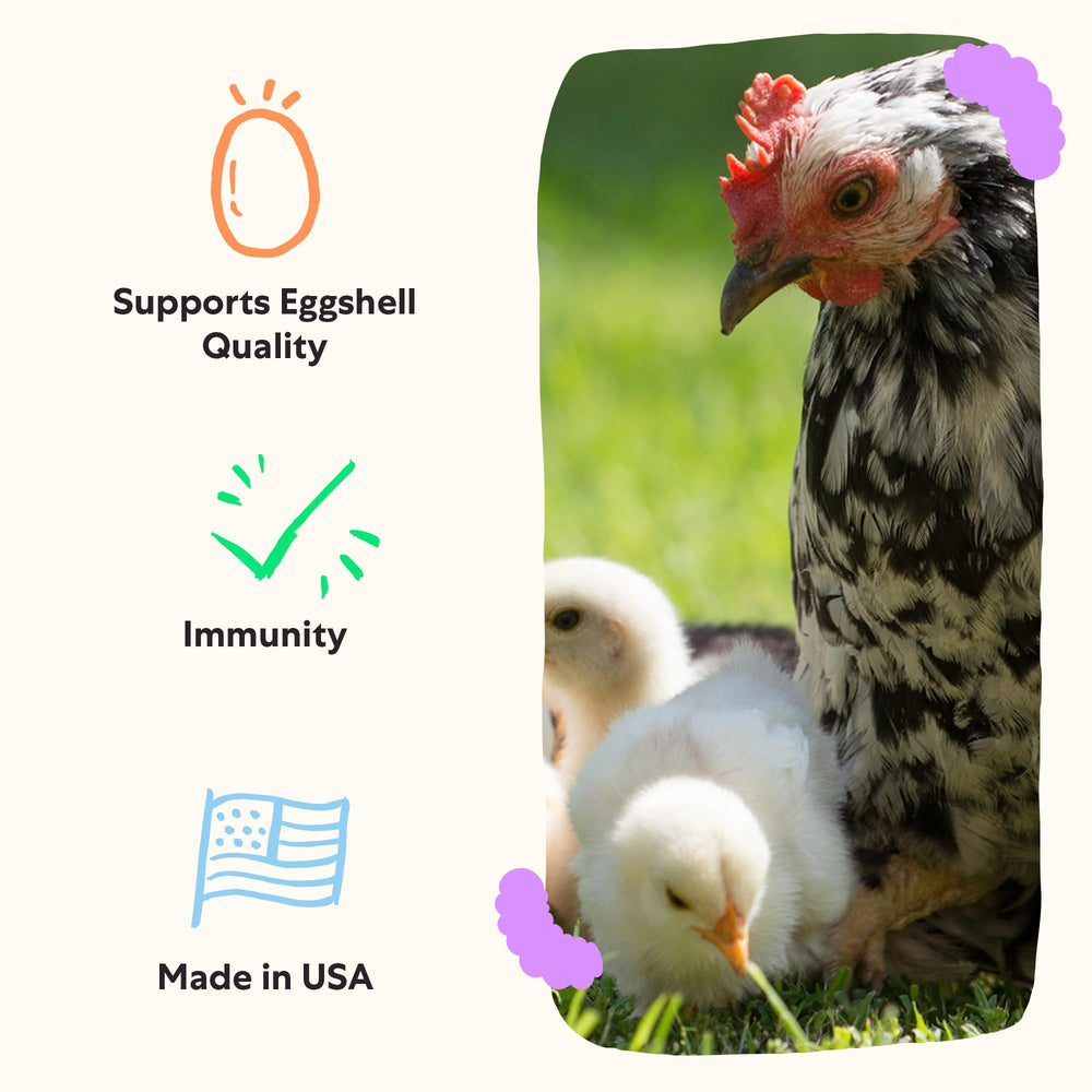 Grubbly Farms hydration boost for chickens during stress periods.