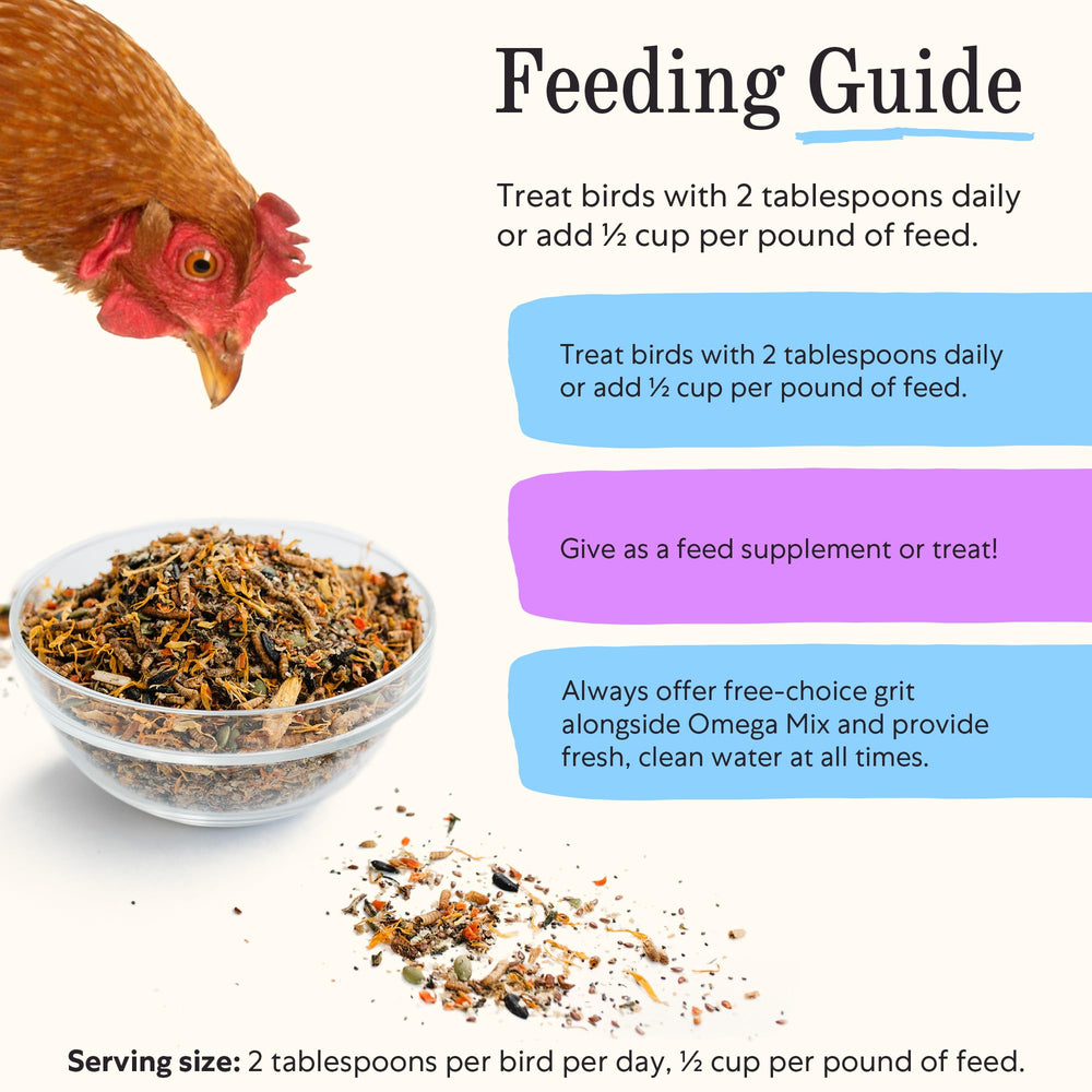 Grubbly Farms Omega Mix egg-production-boost – enriched with minerals and omega-3s.