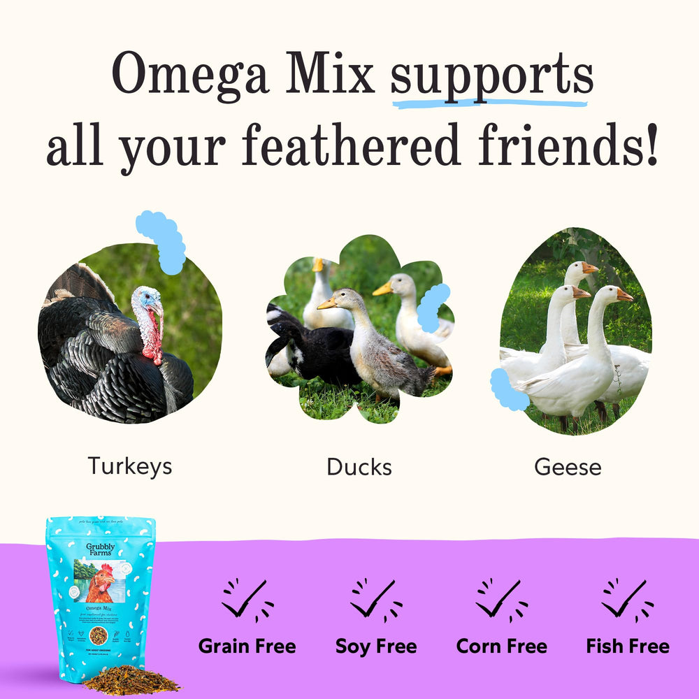 Grubbly Farms Omega Mix concept image showing omega 3:6 balance for eggs