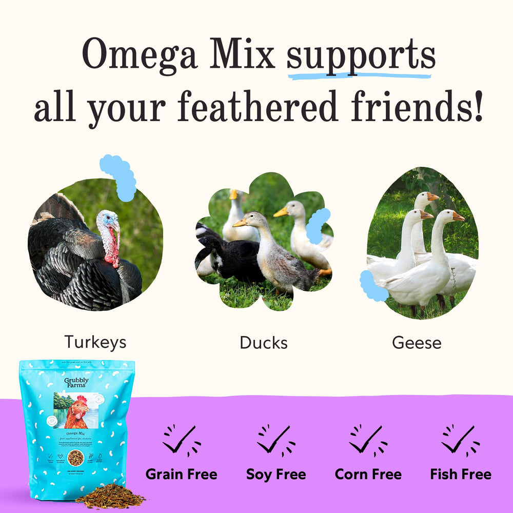 Grubbly Farms Omega Mix feeding guide – two tablespoons per bird daily, supplementing regular feed.