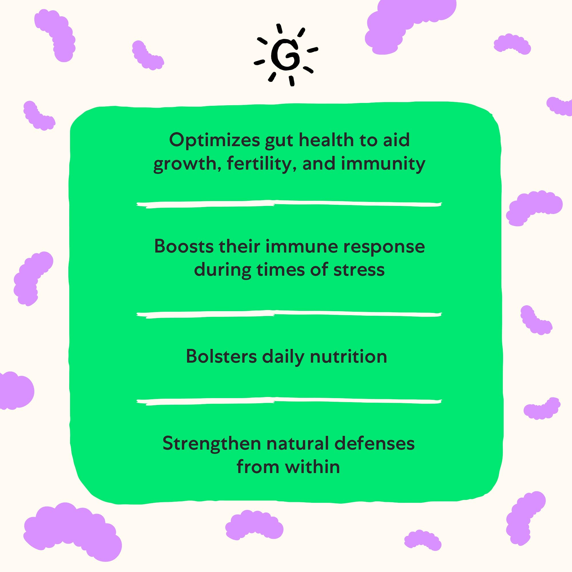 Grubbly Farms powder shown during feeding to support digestion in chickens