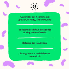 Grubbly Farms powder shown during feeding to support digestion in chickens