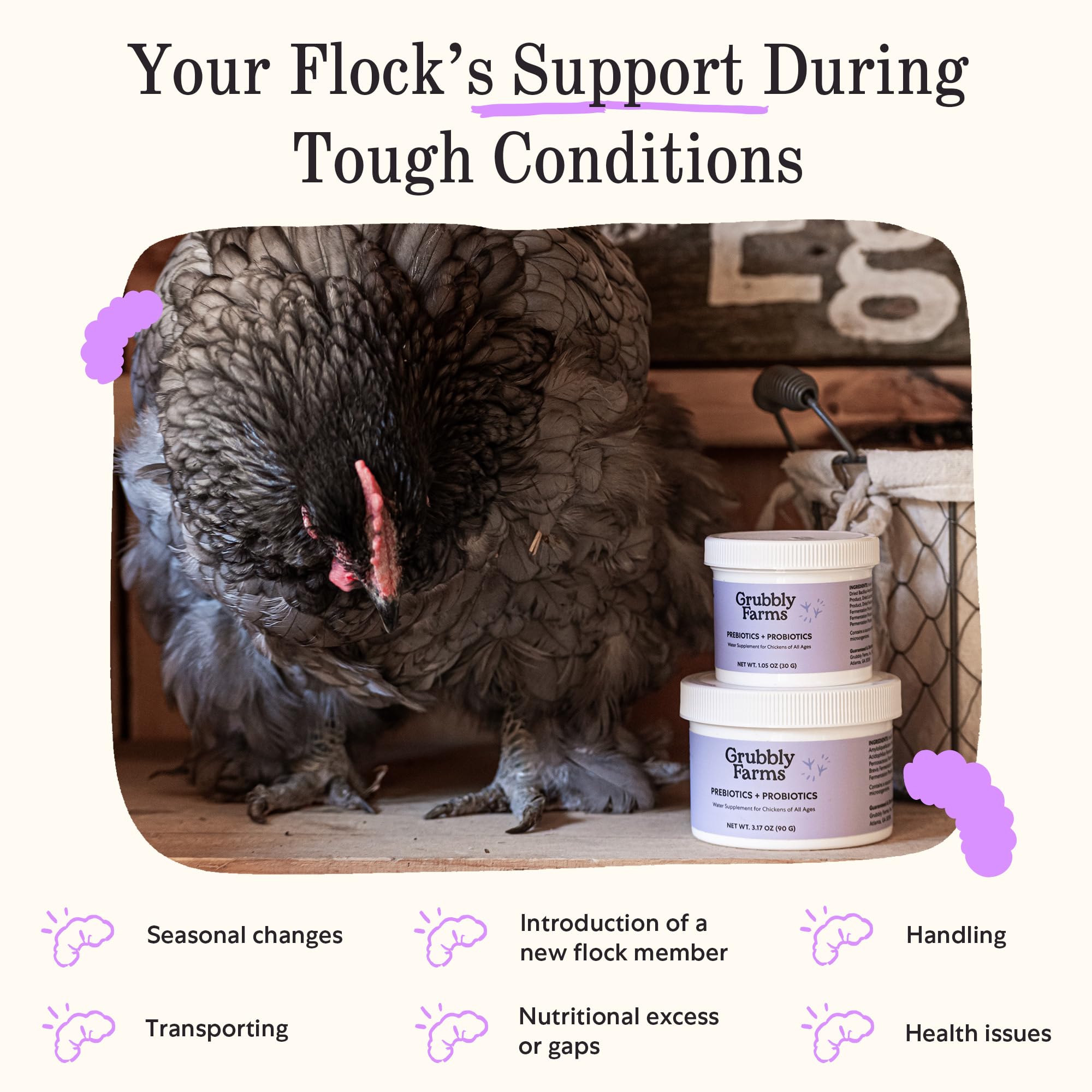 Grubbly Farms farm scene with hens suggests reliable gut support
